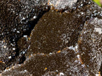 Polished Septerye Sauvage Dragons Egg x 1 From Mahajanga, Madagascar