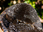 Polished Septerye Sauvage Dragons Egg x 1 From Mahajanga, Madagascar