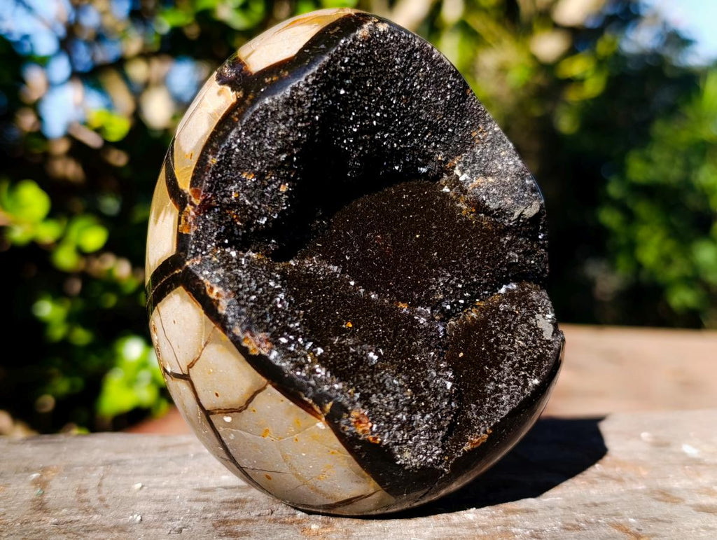 Polished Septerye Sauvage Dragons Egg x 1 From Mahajanga, Madagascar