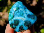 Polished Mix of African Minerals and Crystals Set of 12 x 1 From Southern Africa
