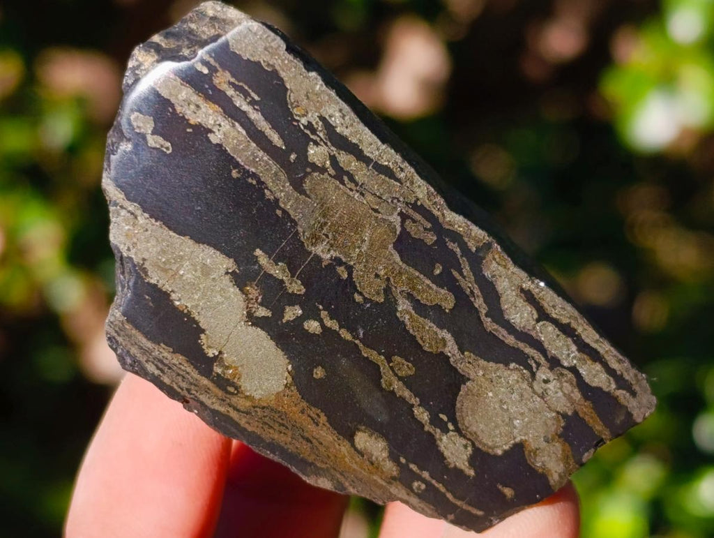 Polished Mix of African Minerals and Crystals Set of 12 x 1 From Southern Africa