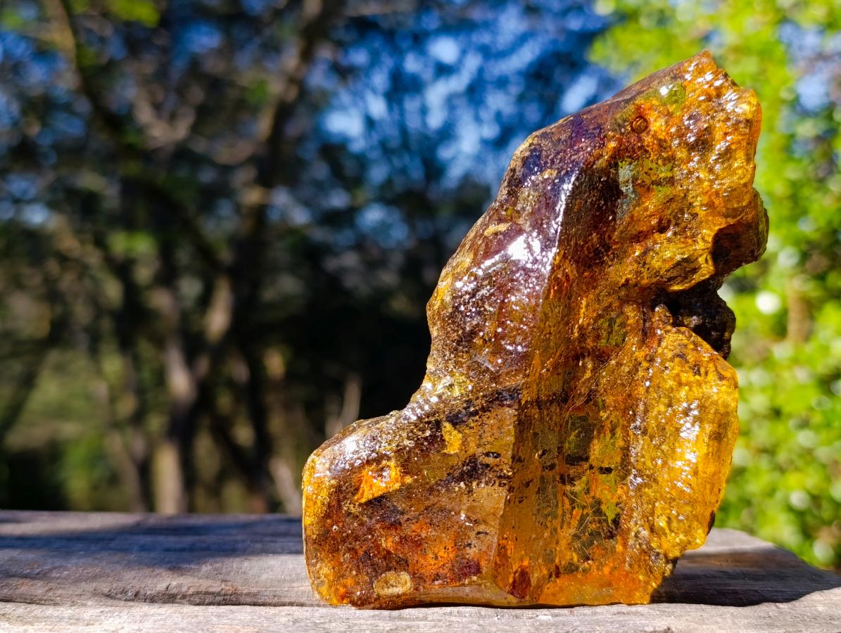 Natural XL Cabinet Size Copal Amber x 1 From From Nosy Varika, Madagascar