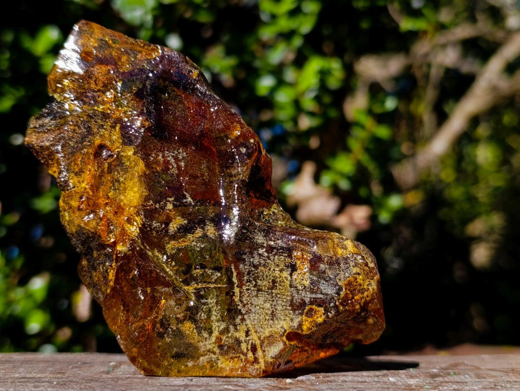 Natural XL Cabinet Size Copal Amber x 1 From From Nosy Varika, Madagascar