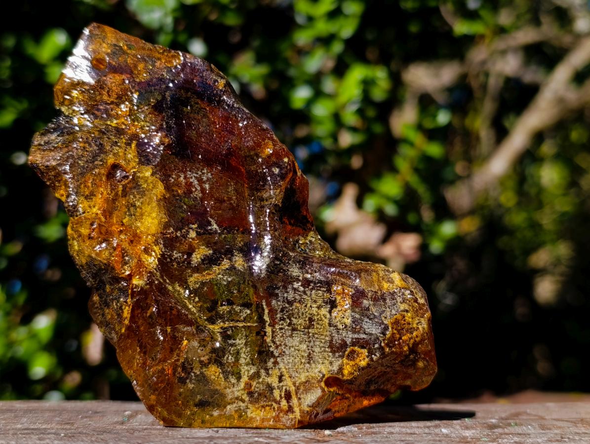 Natural XL Cabinet Size Copal Amber x 1 From From Nosy Varika, Madagascar