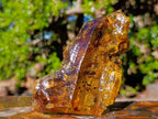 Natural XL Cabinet Size Copal Amber x 1 From From Nosy Varika, Madagascar