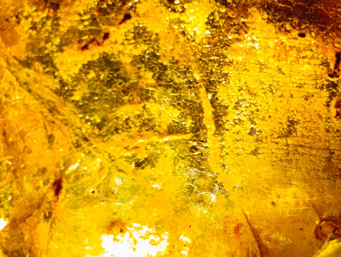 Natural XL Cabinet Size Copal Amber x 1 From From Nosy Varika, Madagascar
