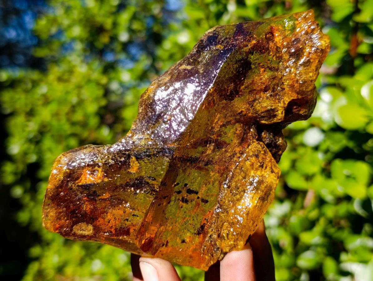 Natural XL Cabinet Size Copal Amber x 1 From From Nosy Varika, Madagascar