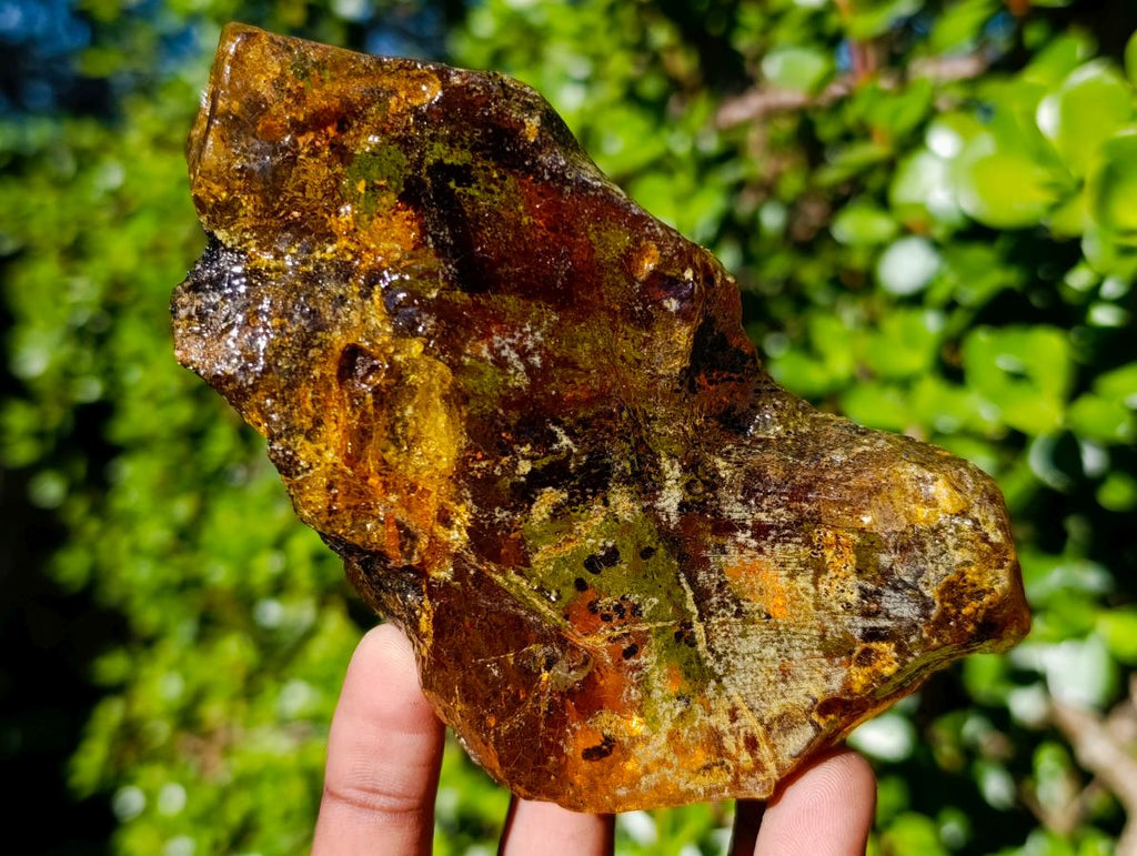 Natural XL Cabinet Size Copal Amber x 1 From From Nosy Varika, Madagascar