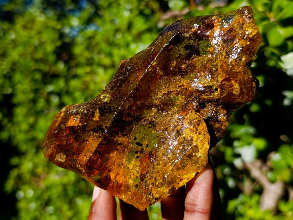 Natural XL Cabinet Size Copal Amber x 1 From From Nosy Varika, Madagascar