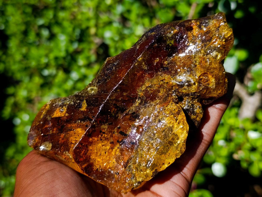 Natural XL Cabinet Size Copal Amber x 1 From From Nosy Varika, Madagascar