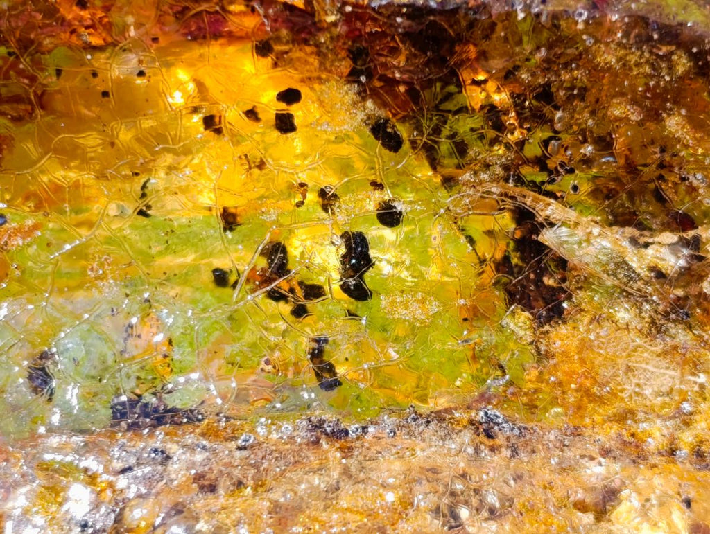 Natural XL Cabinet Size Copal Amber x 1 From From Nosy Varika, Madagascar