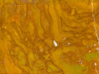 Polished Rare Yellow Ocean Jasper Display Crystal x 1 From Madagascar