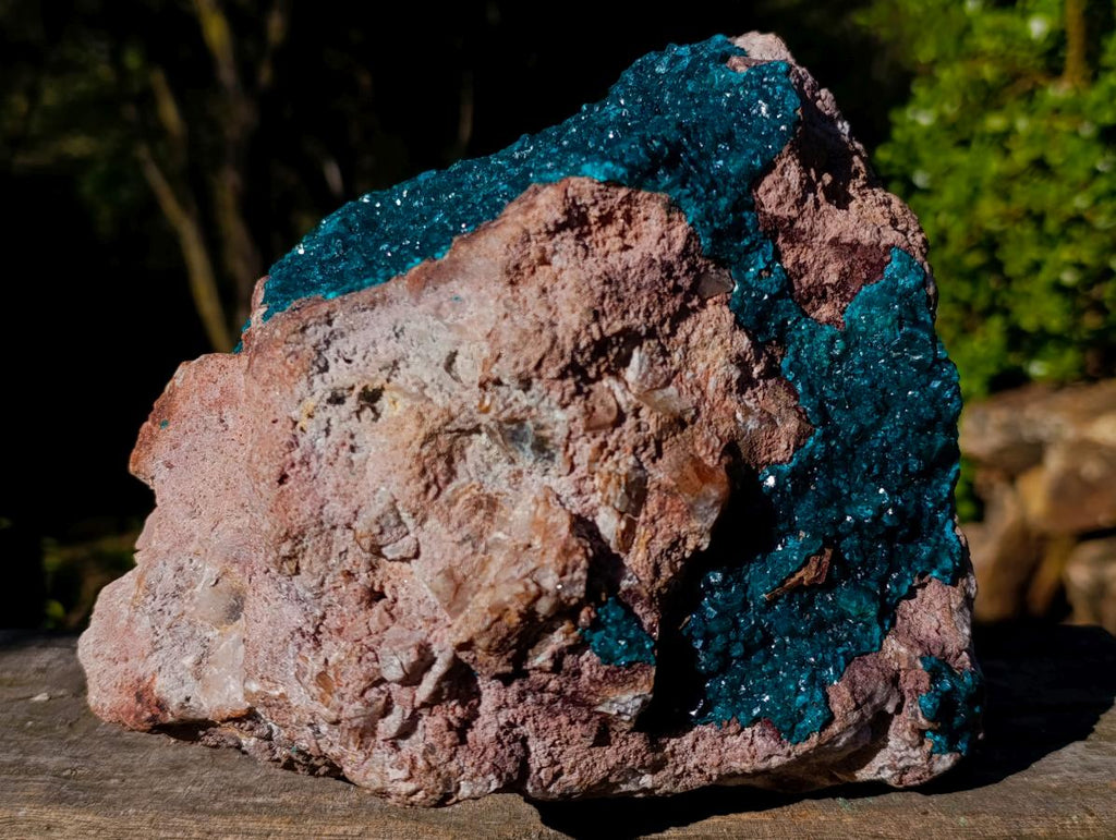 Natural XL Dioptase Specimen on a Dolomite Matrix x 1 From Likasi, Congo