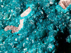 Natural XL Dioptase Specimen on a Dolomite Matrix x 1 From Likasi, Congo