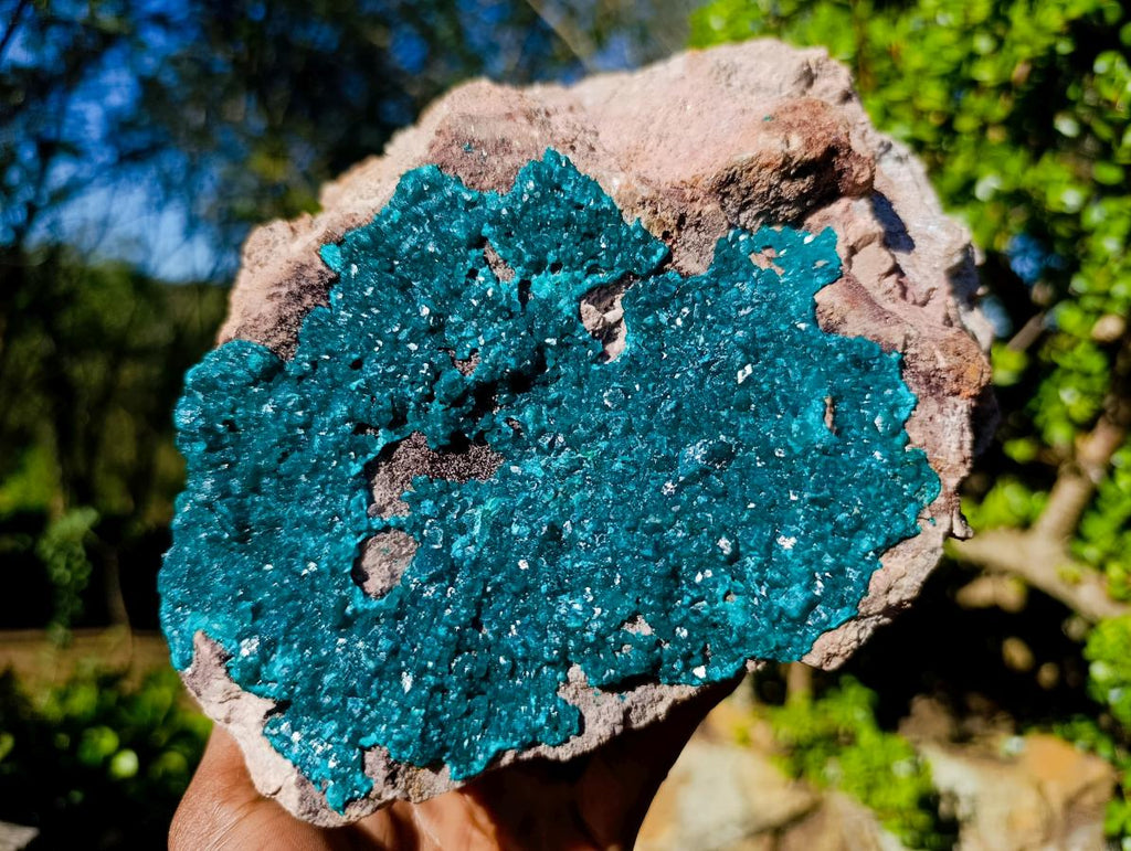 Natural XL Dioptase Specimen on a Dolomite Matrix x 1 From Likasi, Congo