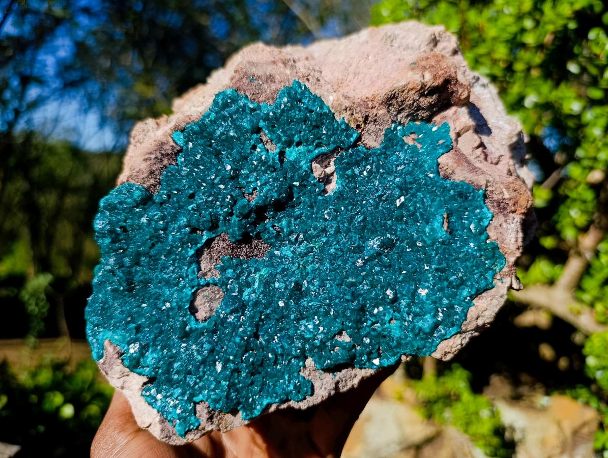 Natural XL Dioptase Specimen on a Dolomite Matrix x 1 From Likasi, Congo