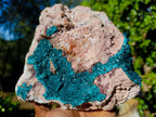 Natural XL Dioptase Specimen on a Dolomite Matrix x 1 From Likasi, Congo