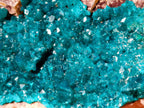 Natural XL Dioptase Specimen on a Dolomite Matrix x 1 From Likasi, Congo