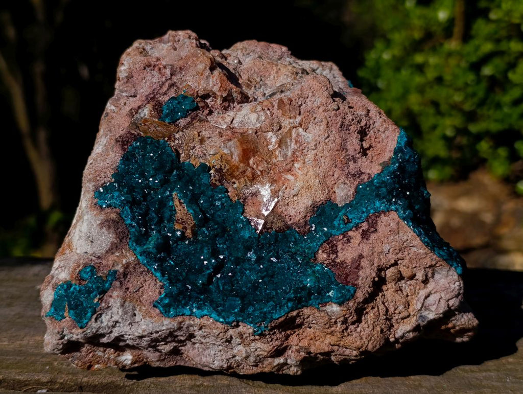Natural XL Dioptase Specimen on a Dolomite Matrix x 1 From Likasi, Congo
