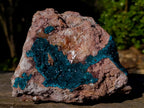 Natural XL Dioptase Specimen on a Dolomite Matrix x 1 From Likasi, Congo