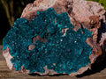 Natural XL Dioptase Specimen on a Dolomite Matrix x 1 From Likasi, Congo