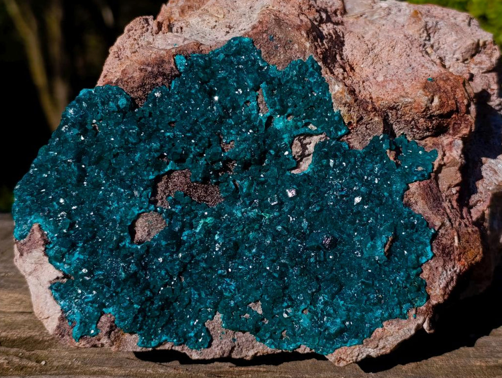 Natural XL Dioptase Specimen on a Dolomite Matrix x 1 From Likasi, Congo