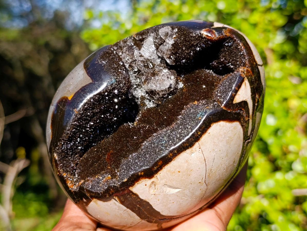 Polished Septerye Sauvage "Dragons Egg" x 1 From Mahajanga, Madagascar