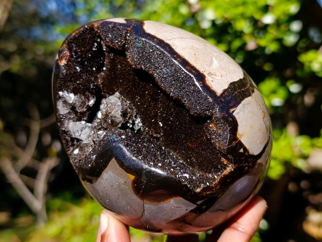 Polished Septerye Sauvage "Dragons Egg" x 1 From Mahajanga, Madagascar