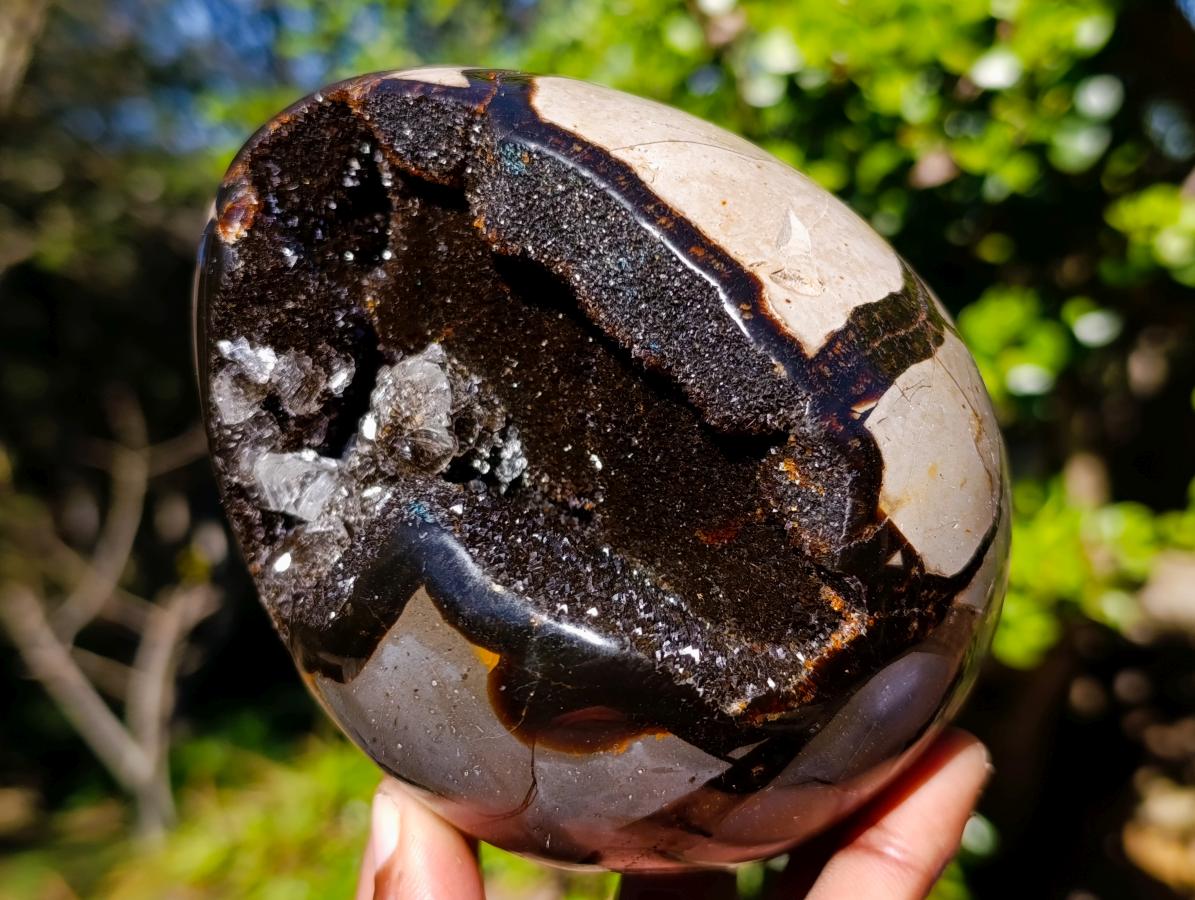 Polished Septerye Sauvage "Dragons Egg" x 1 From Mahajanga, Madagascar