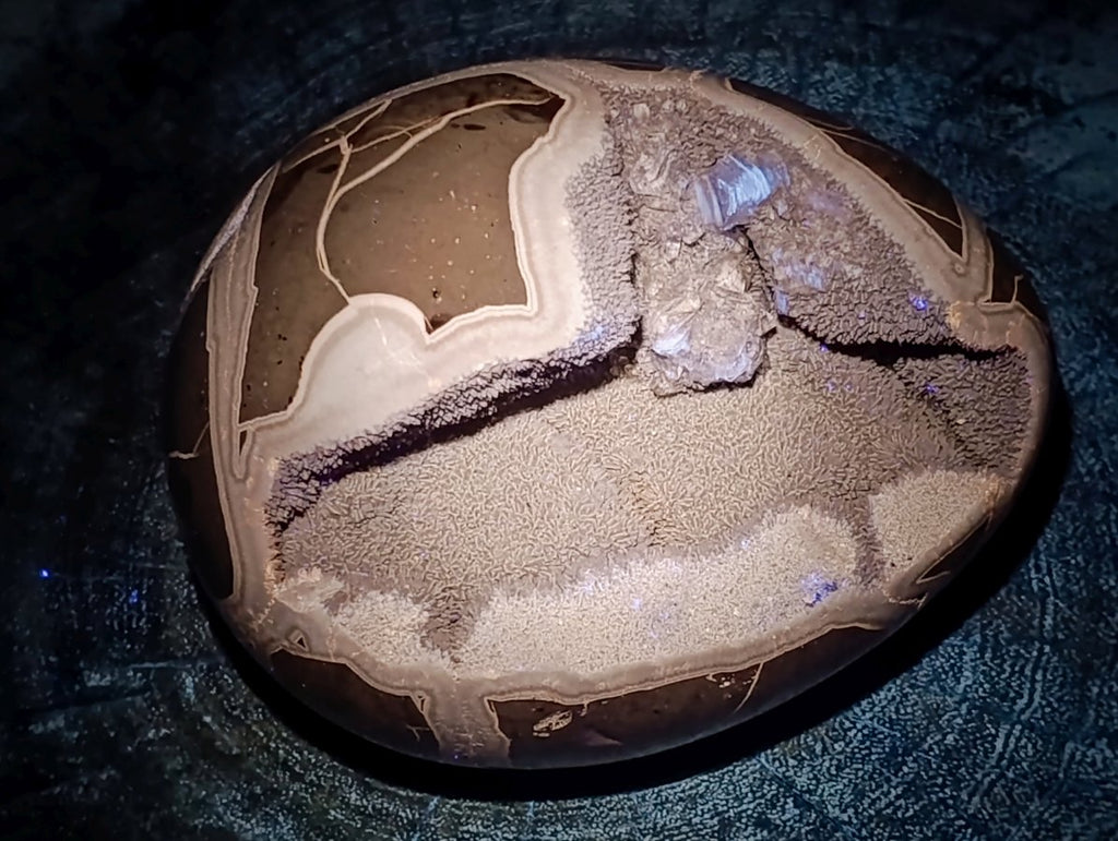 Polished Septerye Sauvage "Dragons Egg" x 1 From Mahajanga, Madagascar