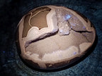 Polished Septerye Sauvage "Dragons Egg" x 1 From Mahajanga, Madagascar