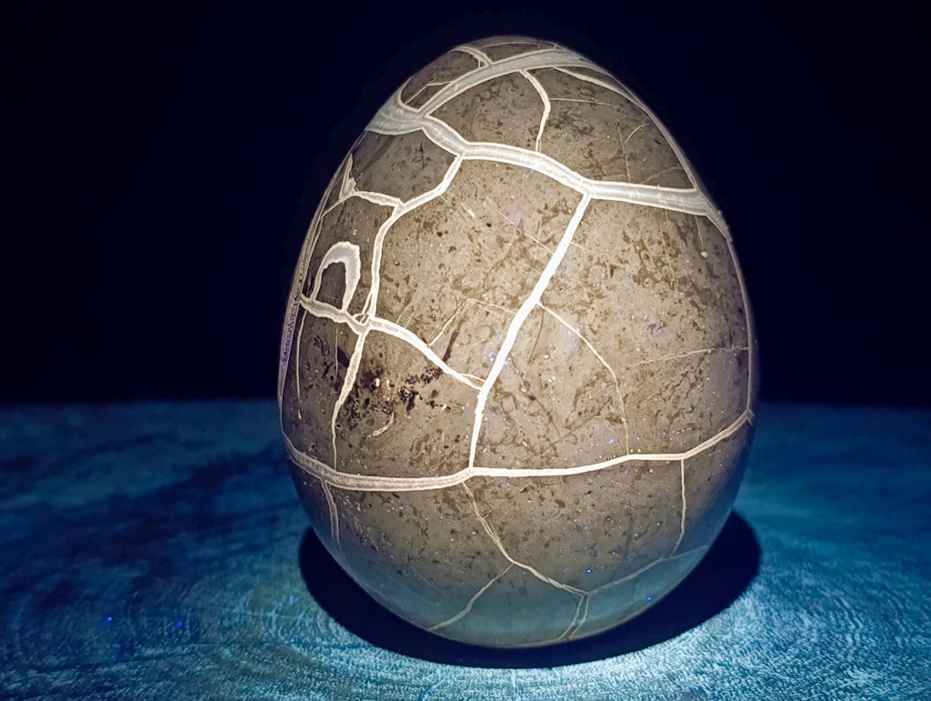 Polished Septerye Sauvage "Dragons Egg" x 1 From Mahajanga, Madagascar