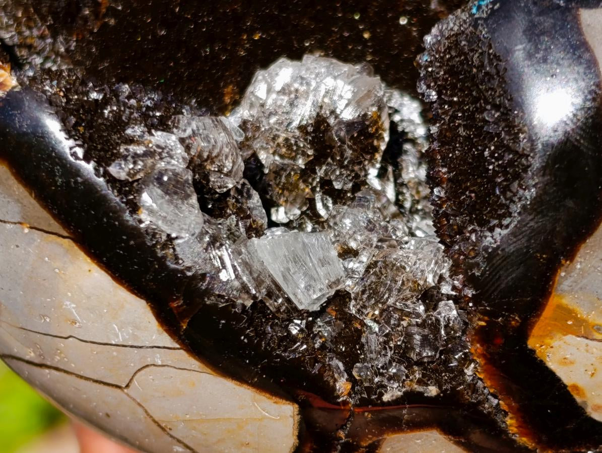 Polished Septerye Sauvage "Dragons Egg" x 1 From Mahajanga, Madagascar