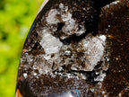 Polished Septerye Sauvage "Dragons Egg" x 1 From Mahajanga, Madagascar