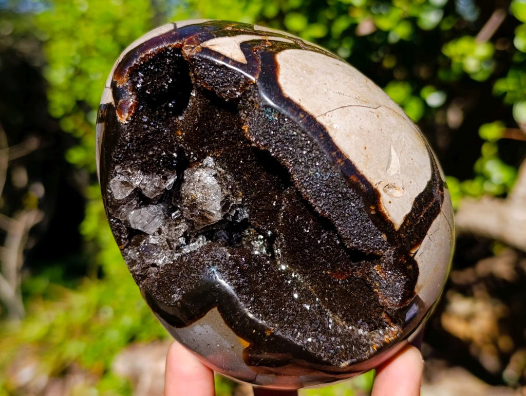 Polished Septerye Sauvage "Dragons Egg" x 1 From Mahajanga, Madagascar