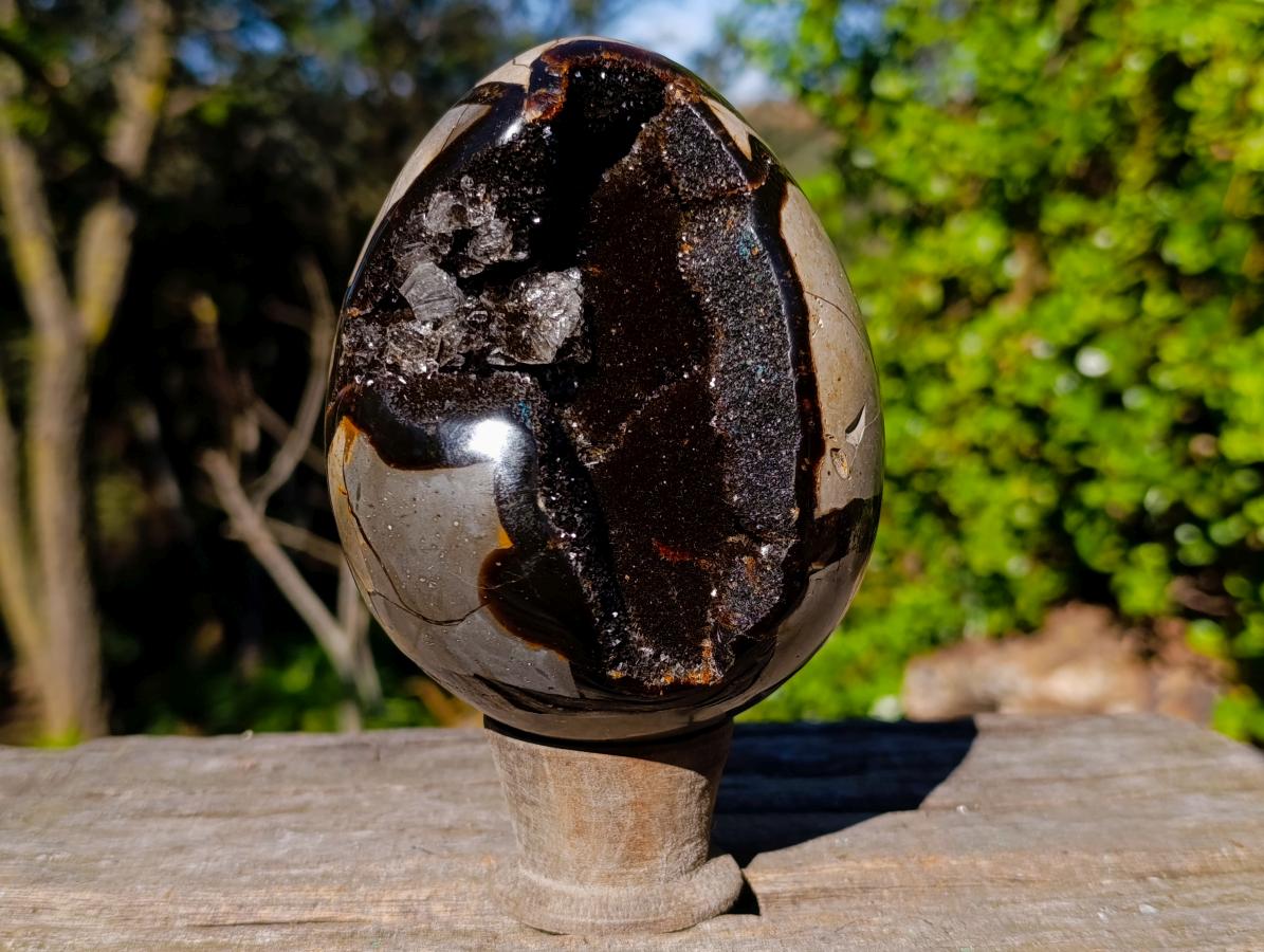 Polished Septerye Sauvage "Dragons Egg" x 1 From Mahajanga, Madagascar