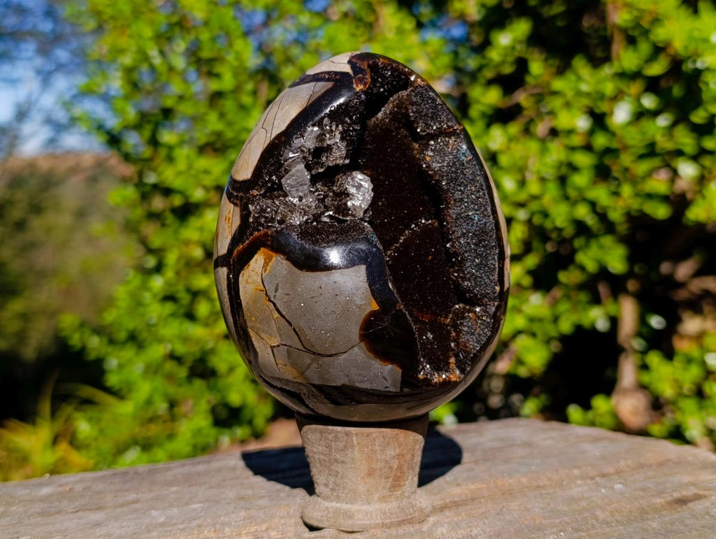 Polished Septerye Sauvage "Dragons Egg" x 1 From Mahajanga, Madagascar