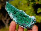 Natural Cuprite Specimen with Silky Botryoidal Malachite and Chrysocolla x 1 From Mashamba West, Congo