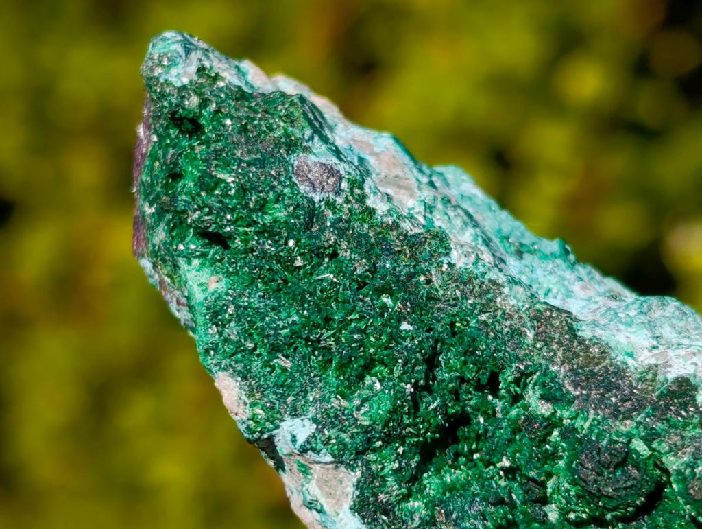 Natural Cuprite Specimen with Silky Botryoidal Malachite and Chrysocolla x 1 From Mashamba West, Congo