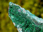 Natural Cuprite Specimen with Silky Botryoidal Malachite and Chrysocolla x 1 From Mashamba West, Congo