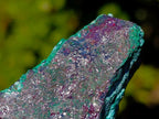Natural Cuprite Specimen with Silky Botryoidal Malachite and Chrysocolla x 1 From Mashamba West, Congo