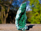 Natural Cuprite Specimen with Silky Botryoidal Malachite and Chrysocolla x 1 From Mashamba West, Congo