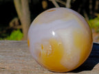 Polished Orange and White Carnelian Gemstone Sphere x 1 From Madagascar