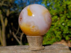 Polished Orange and White Carnelian Gemstone Sphere x 1 From Madagascar