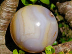 Polished Orange and White Carnelian Gemstone Sphere x 1 From Madagascar