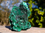 Natural Cabinet Size Silky Malachite Specimen x 1 From Kasompe, Congo