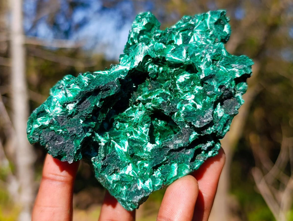 Natural Cabinet Size Silky Malachite Specimen x 1 From Kasompe, Congo