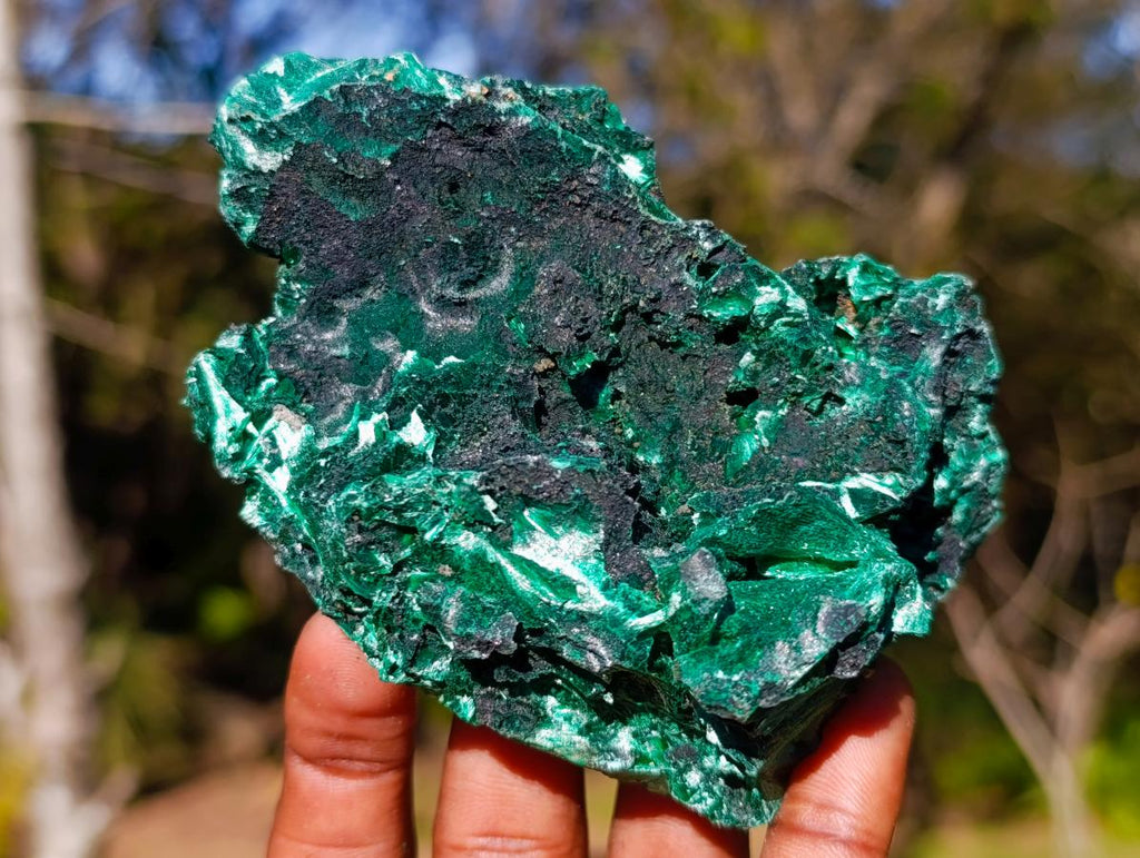 Natural Cabinet Size Silky Malachite Specimen x 1 From Kasompe, Congo
