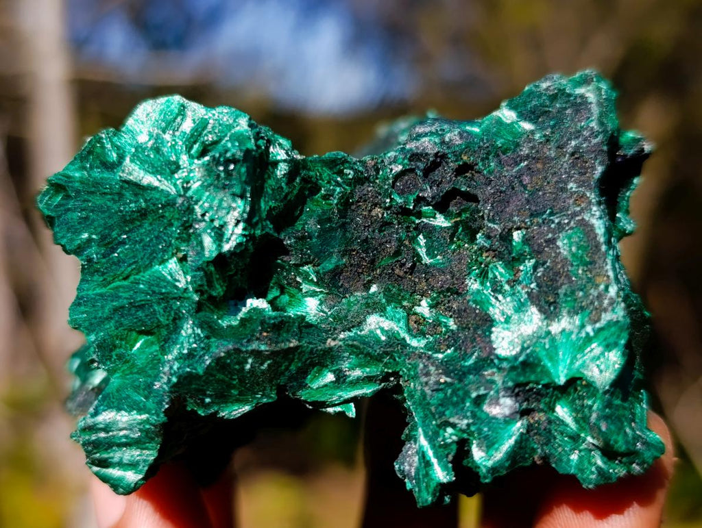 Natural Cabinet Size Silky Malachite Specimen x 1 From Kasompe, Congo