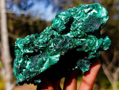 Natural Cabinet Size Silky Malachite Specimen x 1 From Kasompe, Congo